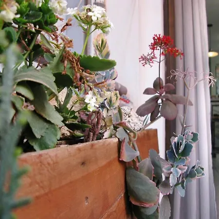 Apartment Handmade - A Step To Center & Beach *